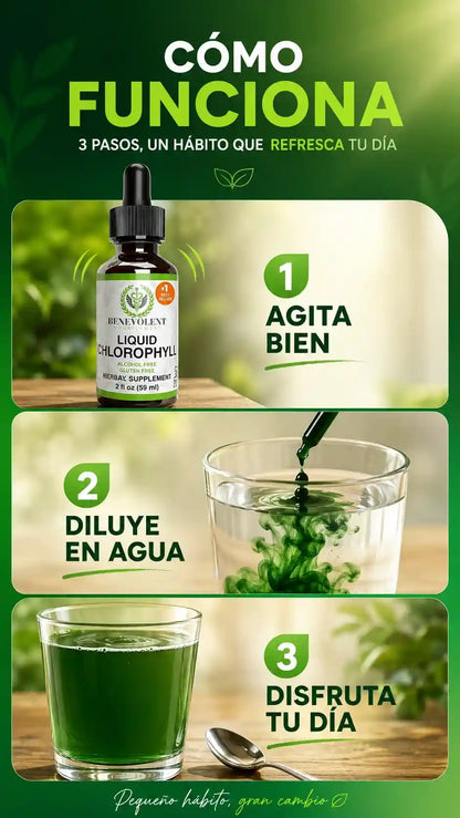 Liquid Chlorophyll