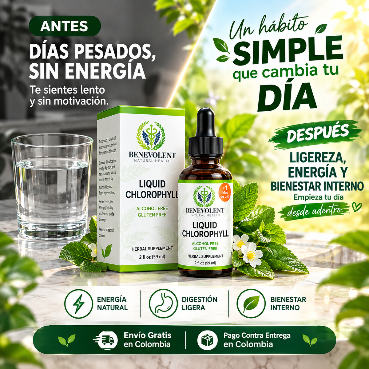 Liquid Chlorophyll