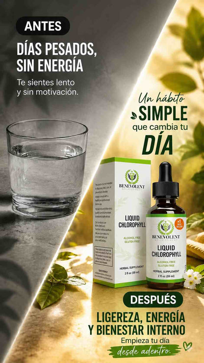 Liquid Chlorophyll