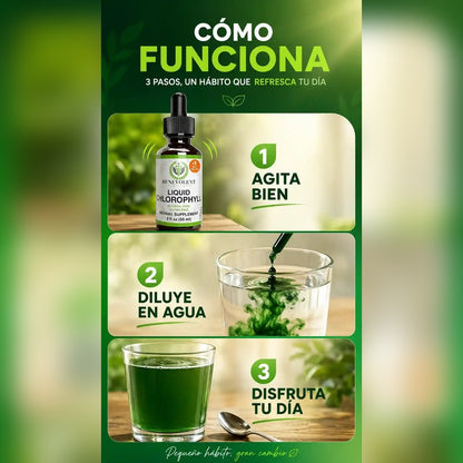 Liquid Chlorophyll